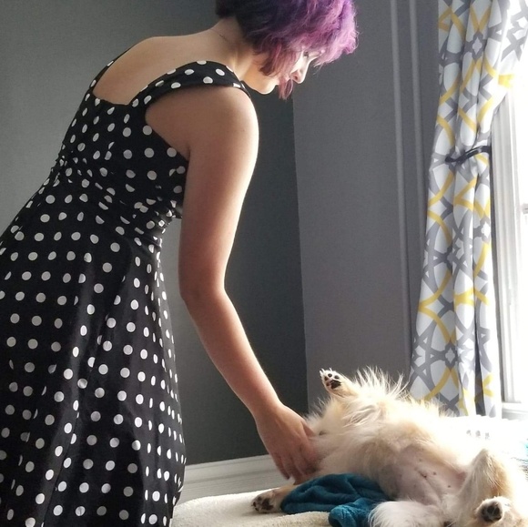 Meet your Posher, Victoria - Picture 1 of 1